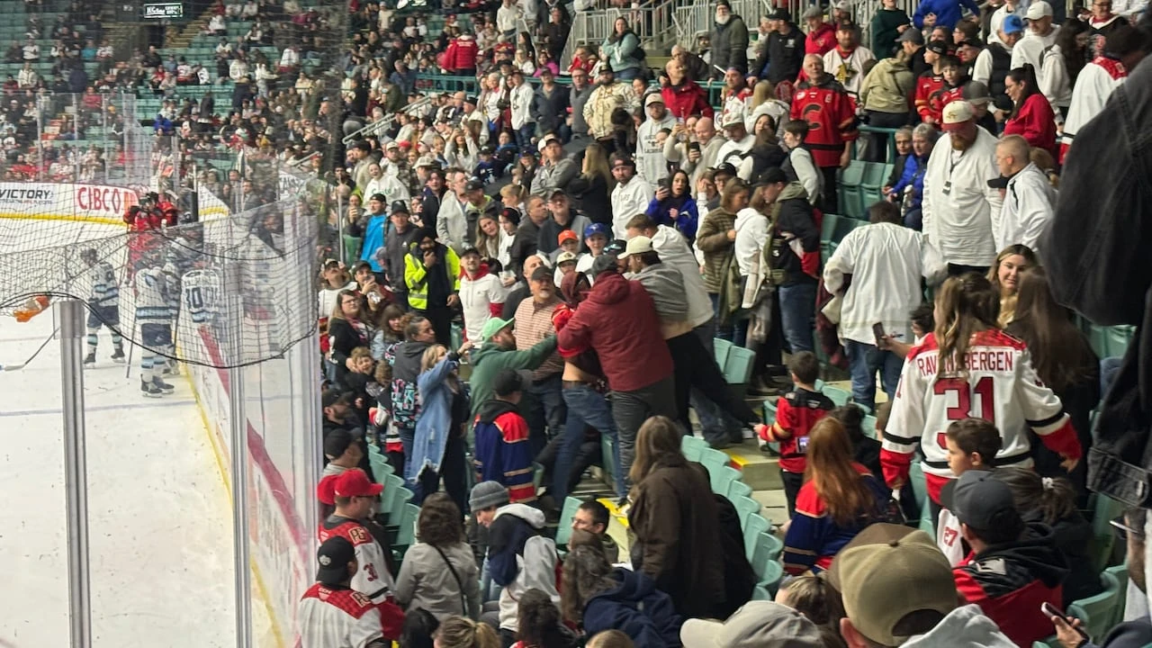 Prince George Cougars fined $1,500 after rowdy crowd disrupts game, throws beer onto ice