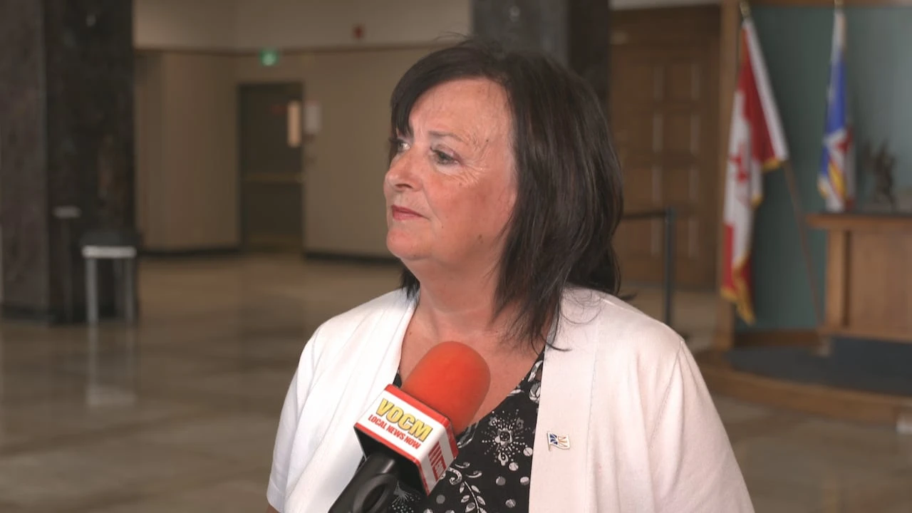 N.L.’s justice system ‘not a gold standard,’ but justice minister wants it to be