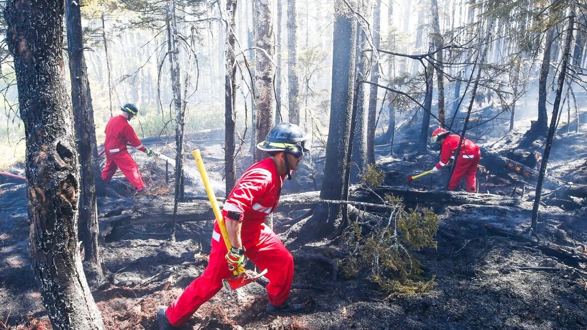Halifax spent more than $160,000 on the wrong kind of wildfire protective gear for firefighters