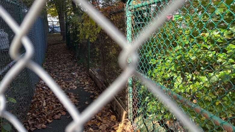 Why a short, 173-year-old path is causing controversy in a St. John's neighbourhood