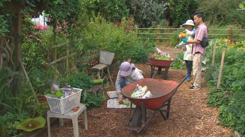 Community gardeners in Richmond grapple with escalating thefts