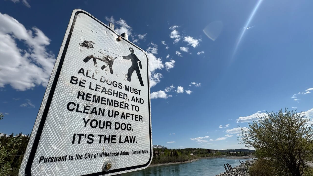 Whitehorse city councillors say more people are complaining about aggressive dogs