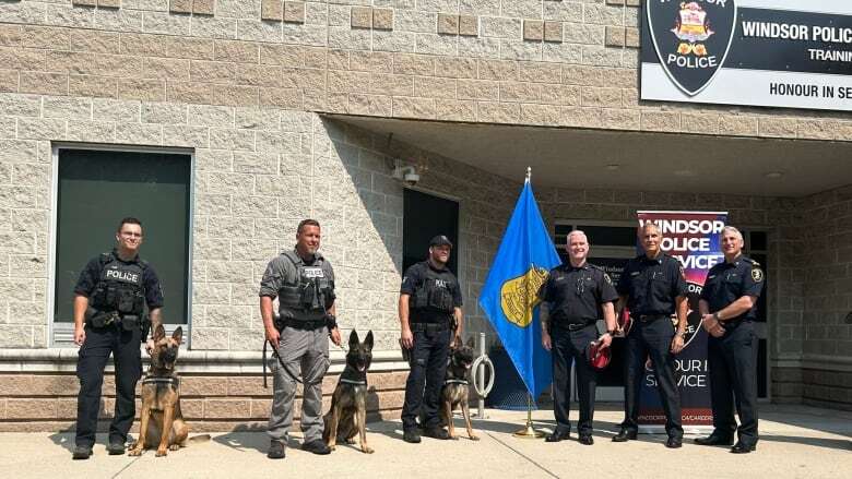 Windsor Police Service welcomes newest members — K9s Ghost and Link