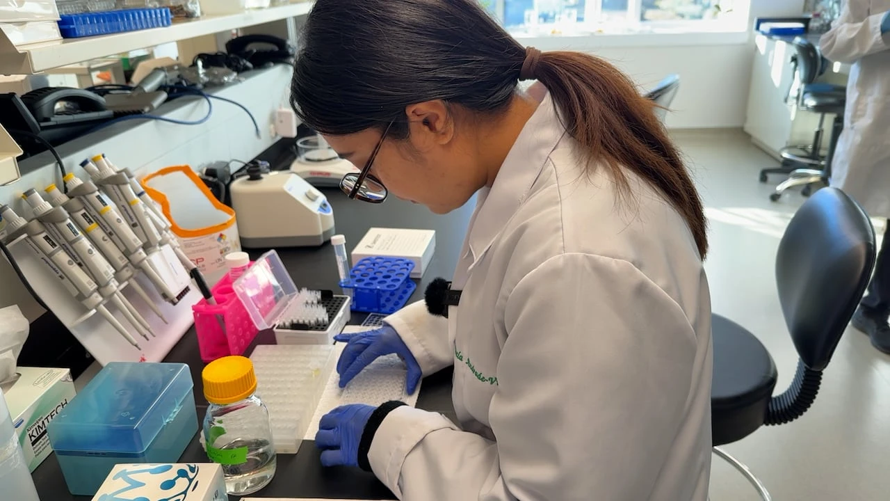 Northern Ontario company uses a urine test to give a muscle health score