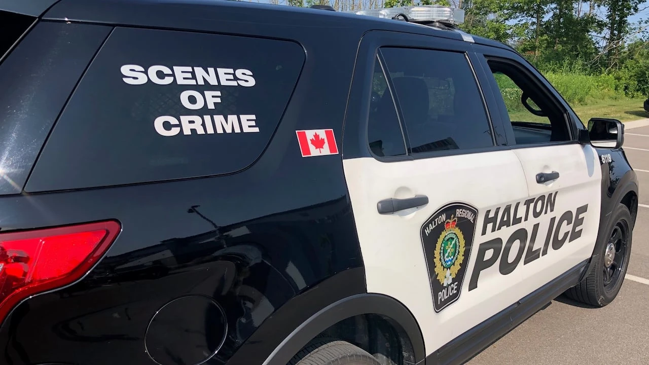 Hamilton woman, 30, charged with horse theft, harassment