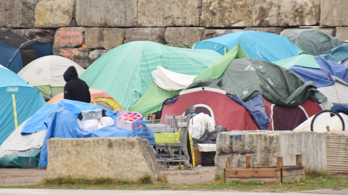 2 opposition MPPs have created a plan to solve Ontario's homelessness crisis in 10 years. Could it work?