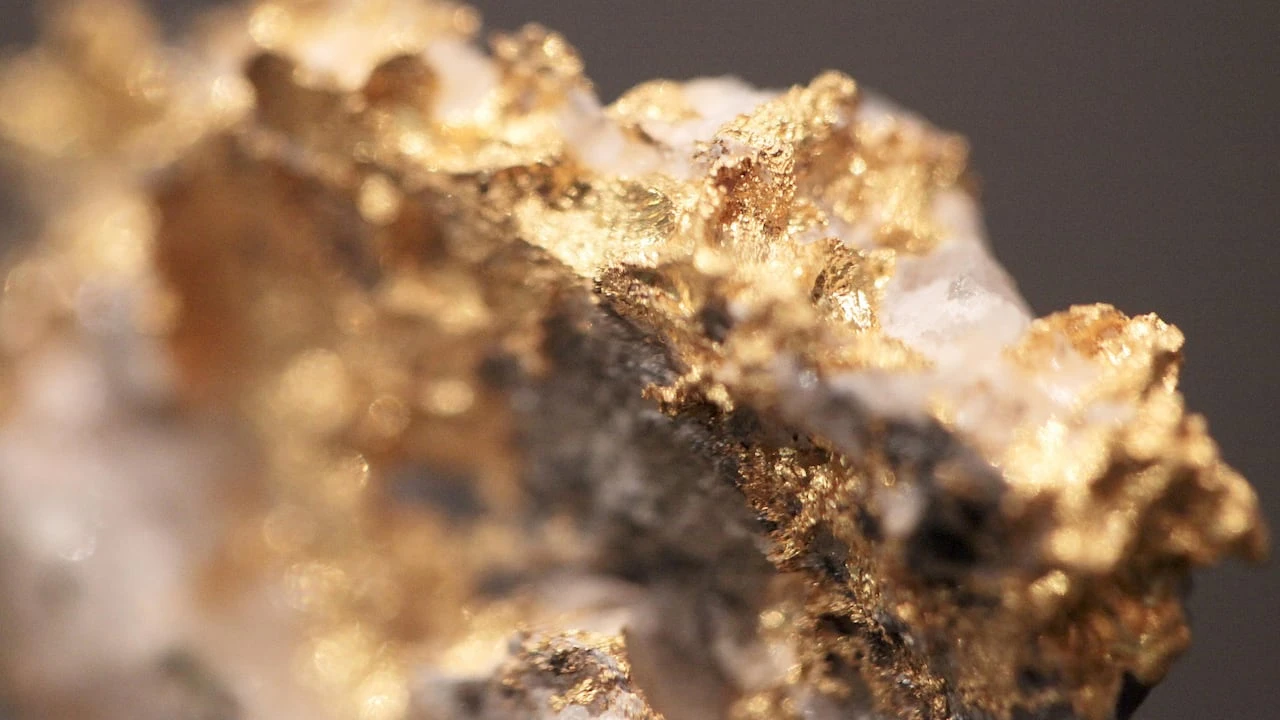 Company to begin processing $200M worth of leftover ore at idled N.S. gold mine this fall