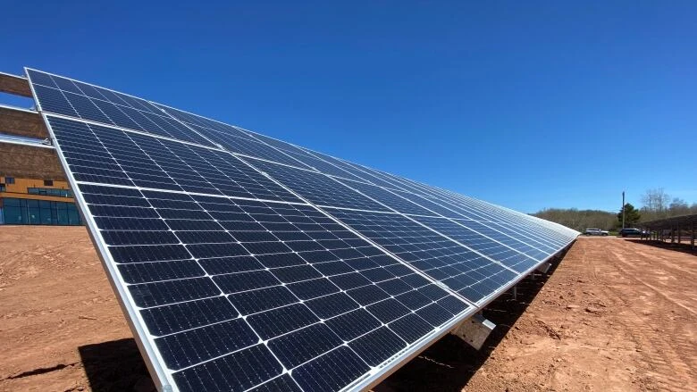 No solar rebate applications being accepted as P.E.I. government hits pause button