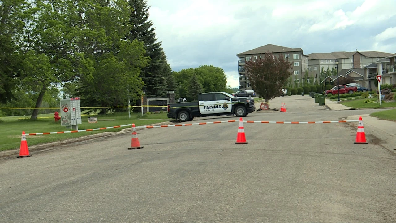 Police air support unit too costly for Prince Albert