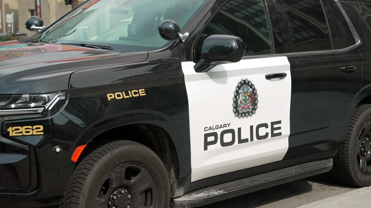 Calgary police investigate 3 shootings in 24 hours