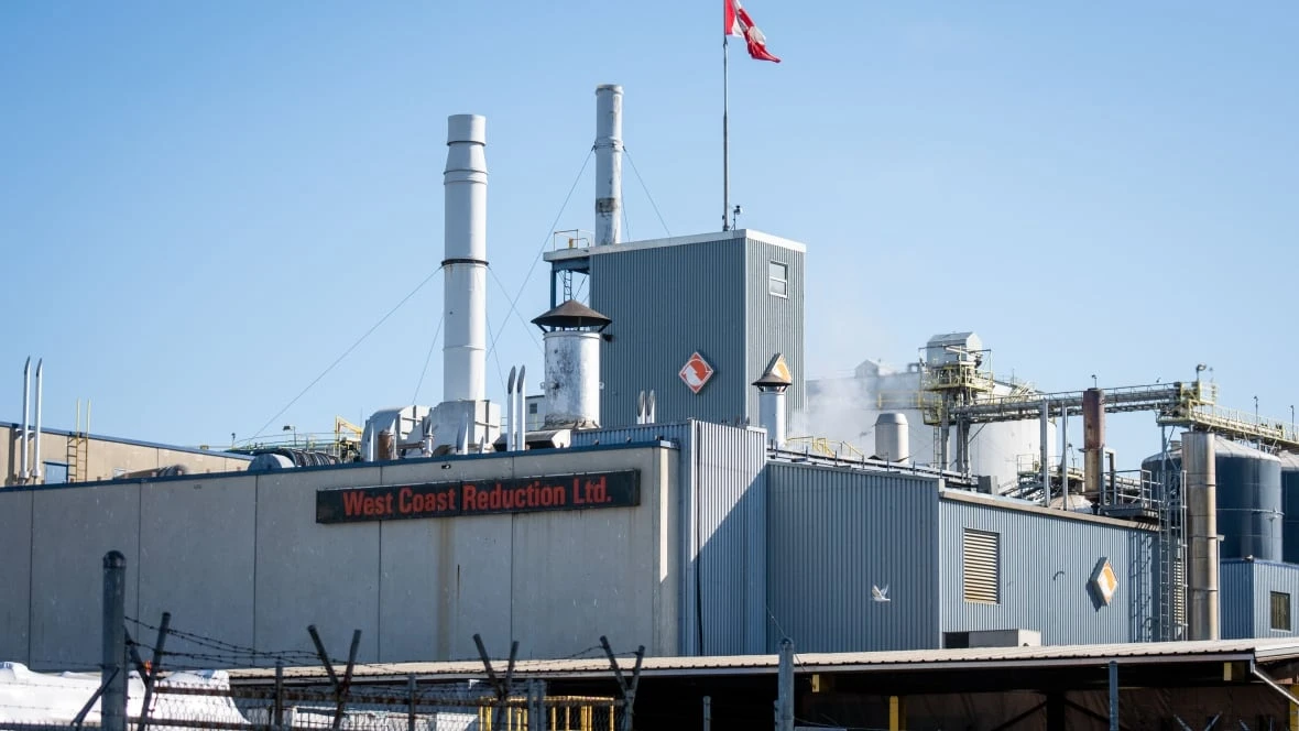 'It smells like rotting meat, like death': East Vancouver odour complaints on the rise