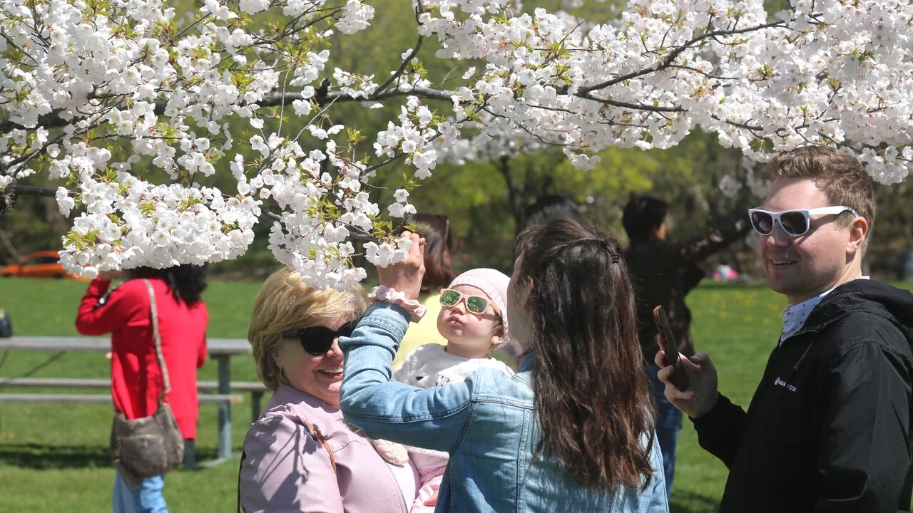 Things to do in Hamilton this May long weekend