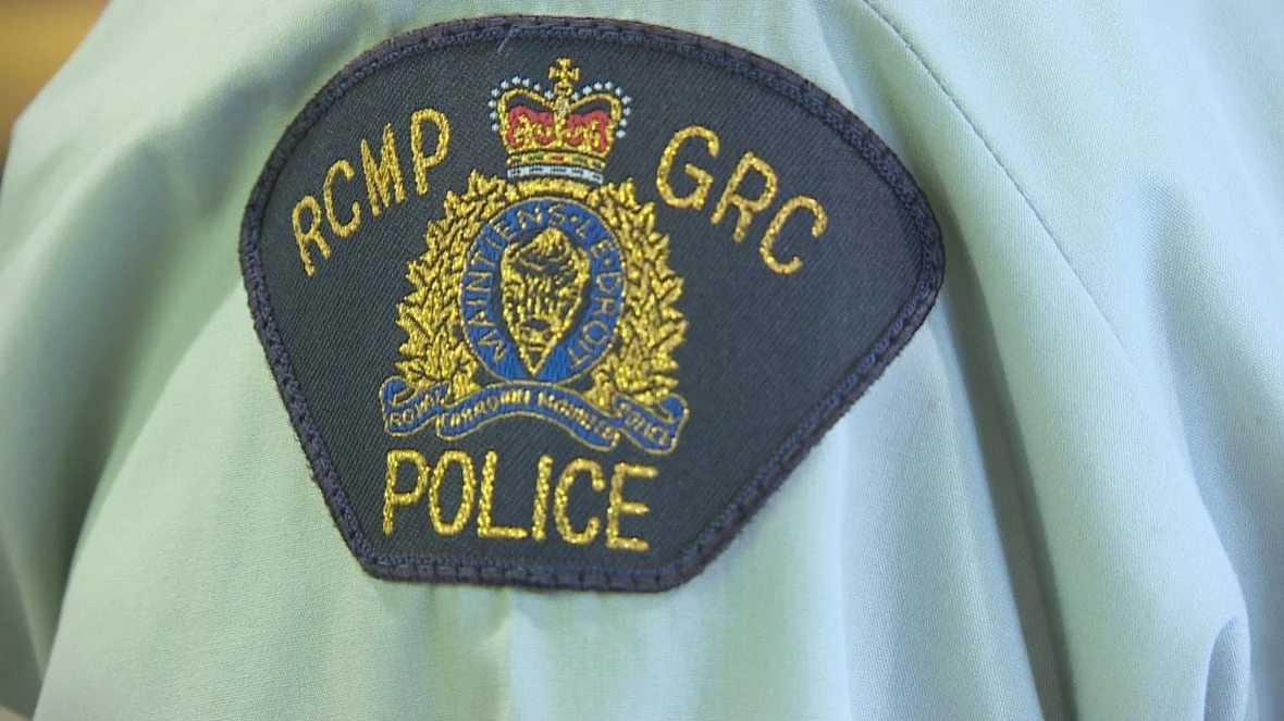 Bathurst man killed when motorbike collides with moose near Miramichi