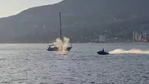 Video captures grey whale being struck by jet ski rider in Vancouver