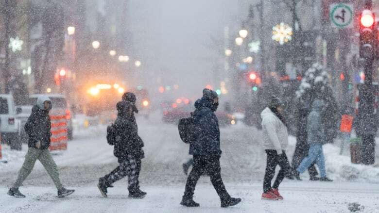 Surge of winter weather brings hope for a white Christmas in southern Quebec