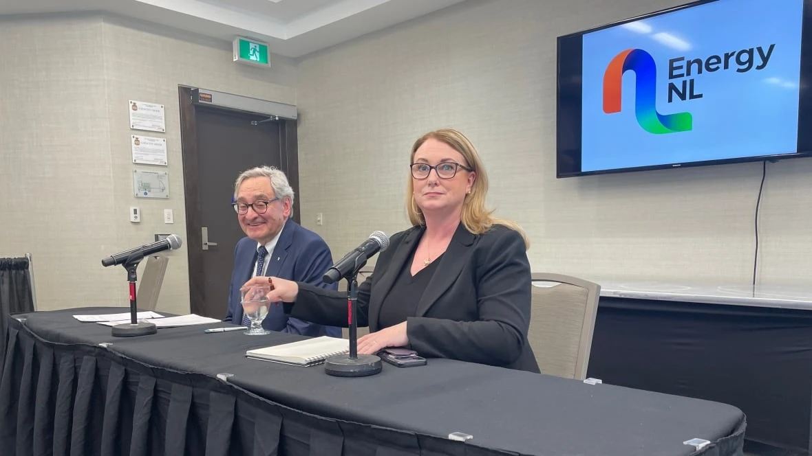 Churchill Falls deal is 'full steam ahead' says N.L. Hydro as Michael Sabia departs Hydro-Quebec