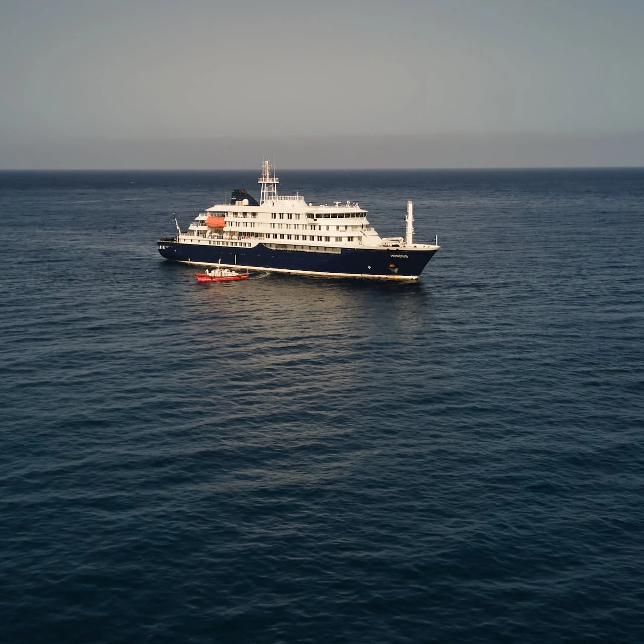 Why do people still take cruises? Convenience, value outweigh health risks, experts say
