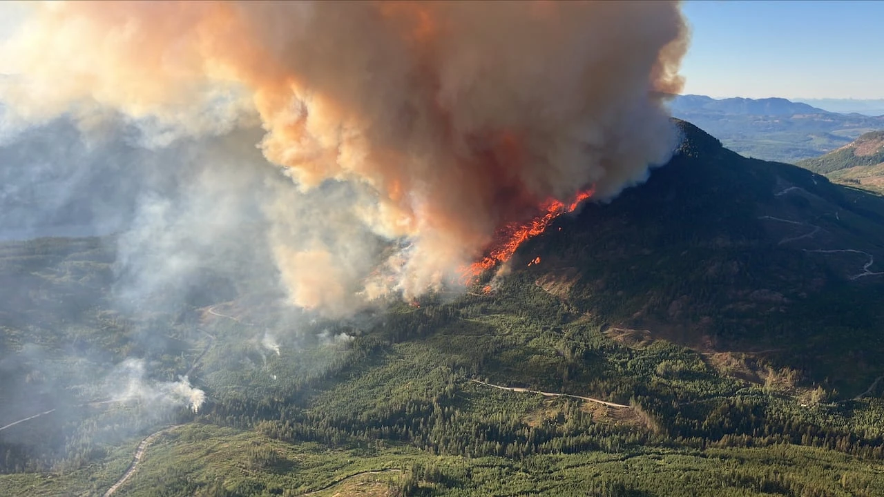 What a federal wildfire strategy could look like