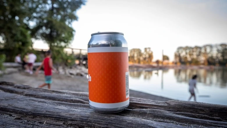 Why you still can't legally drink in Vancouver parks, 2½ years after the park board began studying the issue