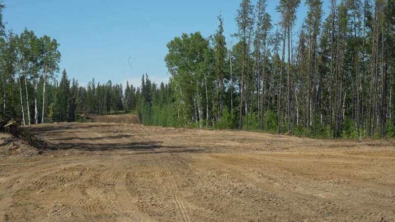 Alberta hiring to restore land where fireguards were created in 2023 wildfire season