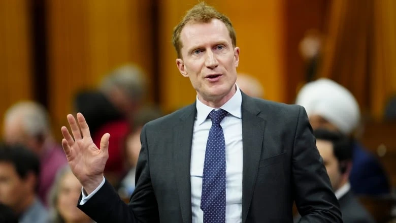 Ottawa has no plans to give all undocumented workers residential status, minister says