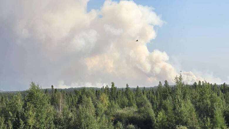 Atlantic provinces sending 20 firefighters to help battle wildfires in Manitoba