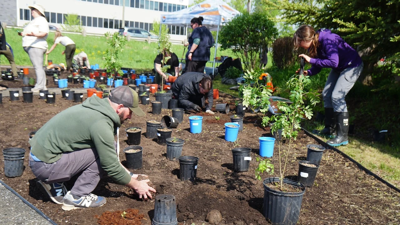 Healing through land: Thunder Bay, Ont., opens Indigenous Community Medicine Garden