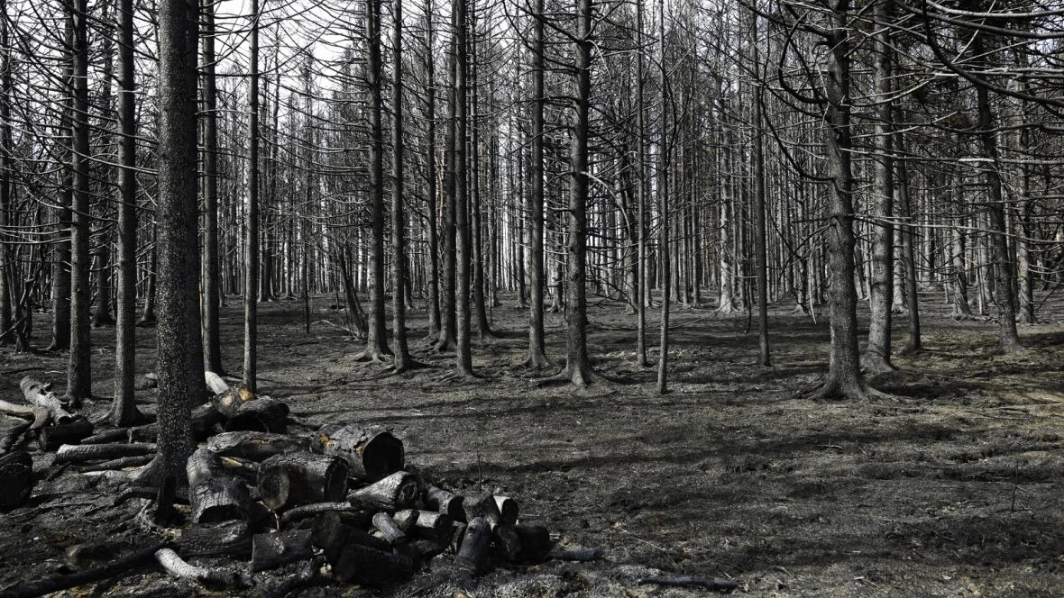 N.S. has handed out over $1M in fire ban tickets. How much has actually been collected?