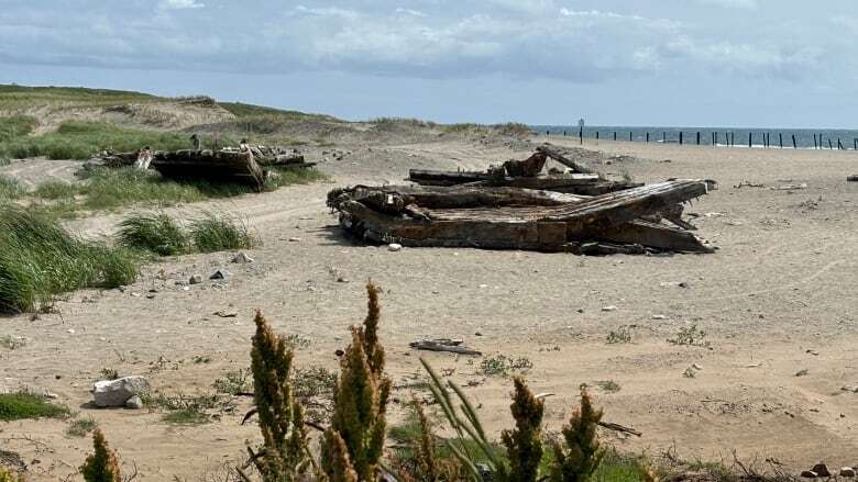 The Cape Ray shipwreck splits in the sun until officials navigate its origin