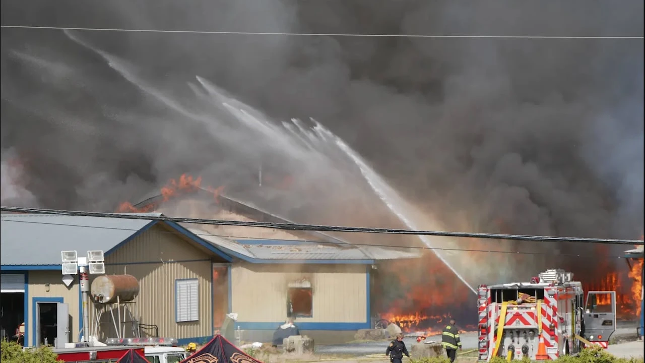 Abbotsford fire destroys 3 barns, thousands of chicken dead: fire crews