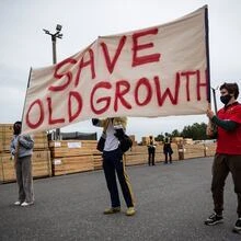CBC Radio's The House: Fight at Fairy Creek