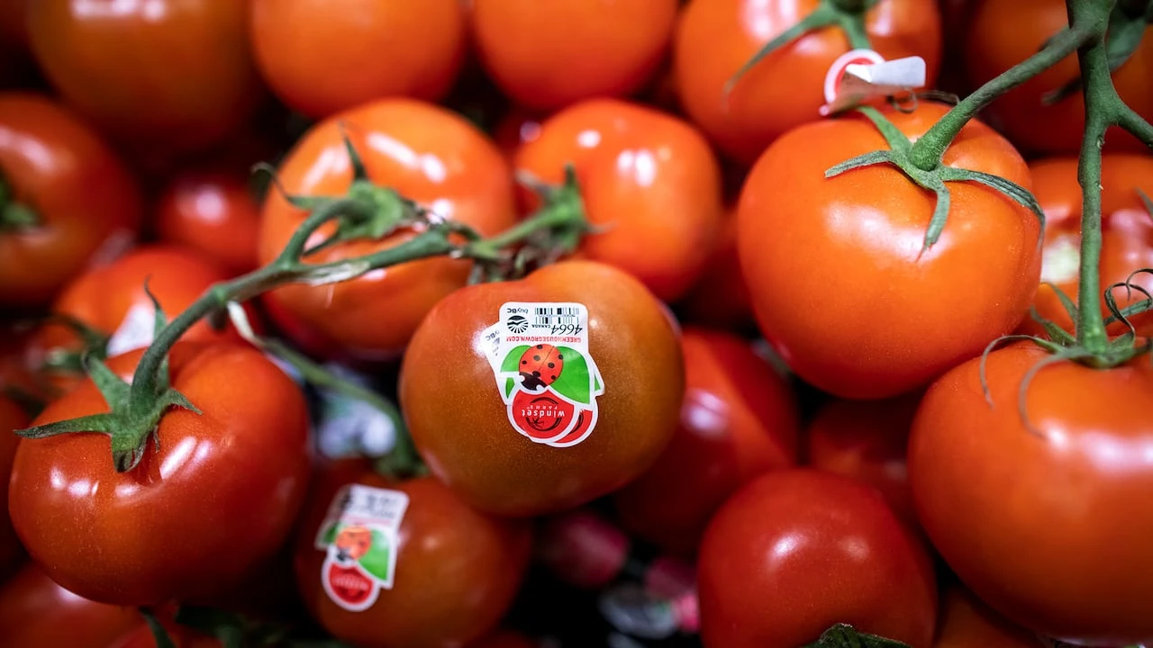 Higher vegetable prices pushed inflation upward in May