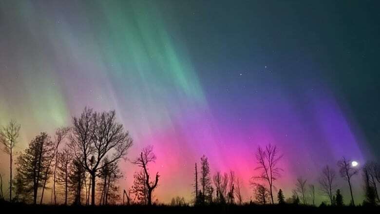 Northern lights make rare appearance in New Brunswick