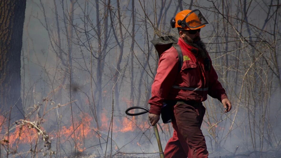How prescribed burns can help ecosystems thrive