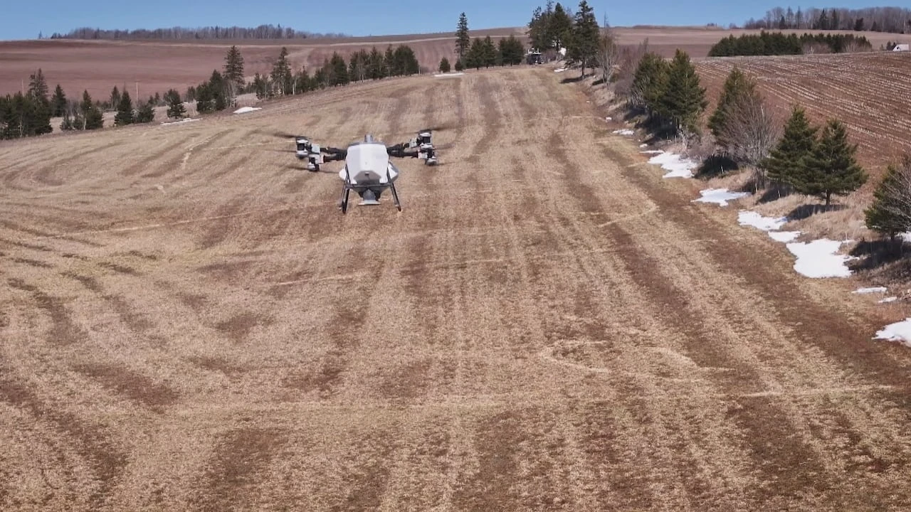 Drone seeding gives P.E.I. farmers a head start on seaso