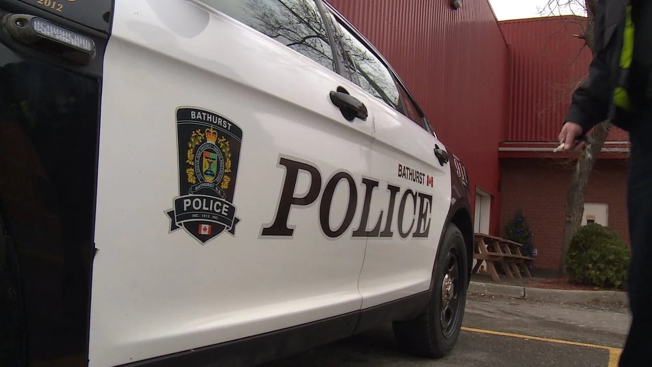 Bathurst cop faces harassment, threats charges
