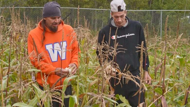 Community garden in Poplar River First Nation sows seeds for more sustainable future