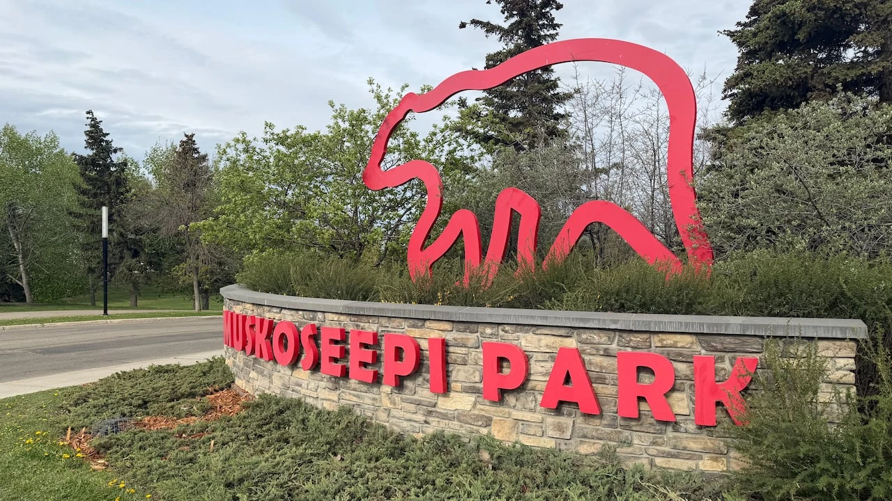 RCMP patrols increase near Grande Prairie park trails following random attacks