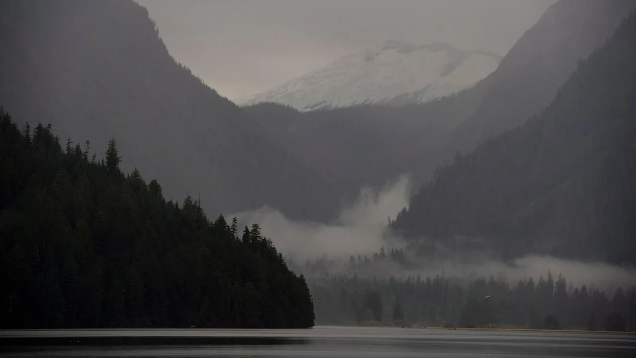 Carney leans on private money, alternative approaches in nature strategy. Will it work?
