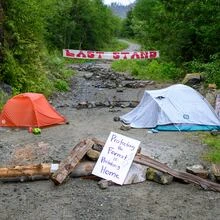 Musician Bryan Adams calls for B.C. government's ouster over old-growth logging