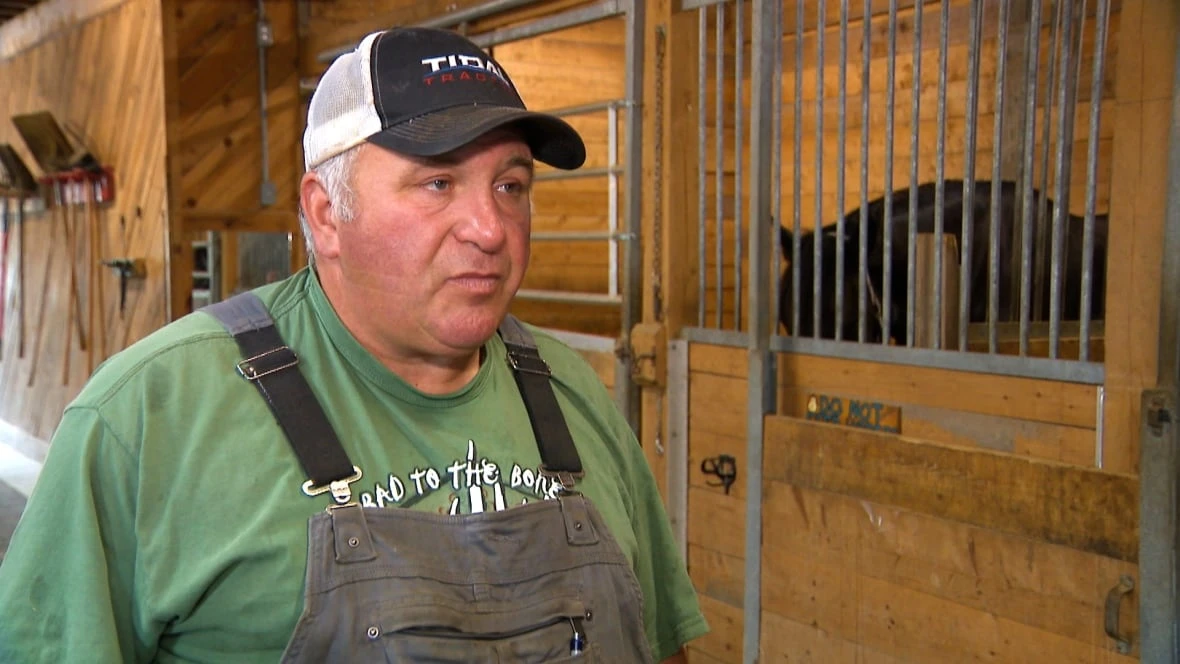 Halifax-area recreation farm asks neighbours to hold off on fireworks