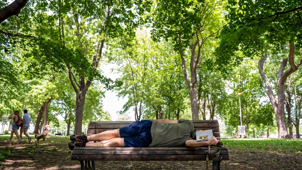 Southwestern Ontario heat wave: Region primed to cook — yet again