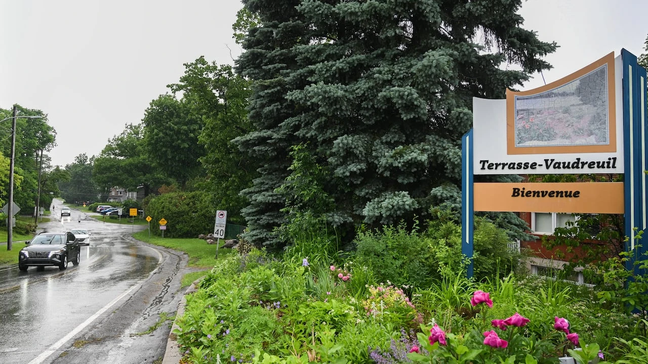 Quebec town recognizes trees as living beings with rights