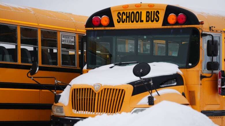 Several schools, highways closed in western Manitoba as winter finally hits