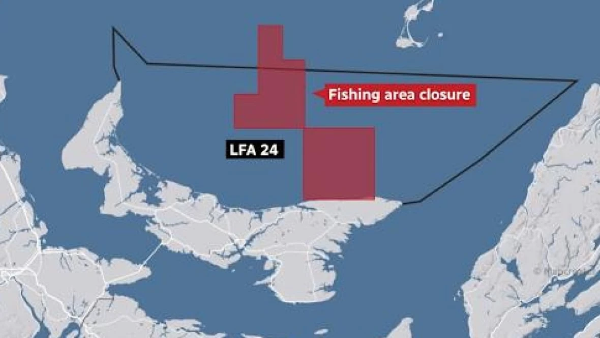 P.E.I. Fishermen's Association monitoring after entangled right whale prompts fishing restriction