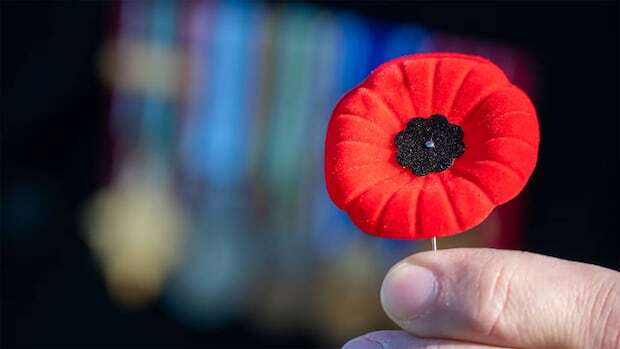 Manitoba's largest Remembrance Day ceremony honours fallen soldiers, veterans