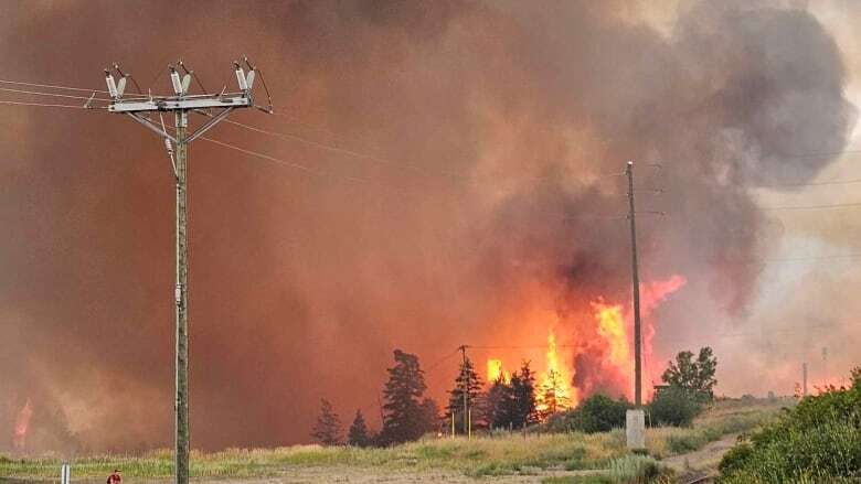 Williams Lake, B.C., wildfire being held, evacuation alert lifted