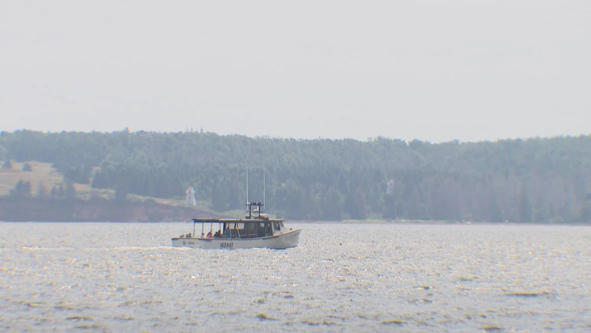 Less wildfire smoke in P.E.I. skies, but Islanders still advised to take precautions