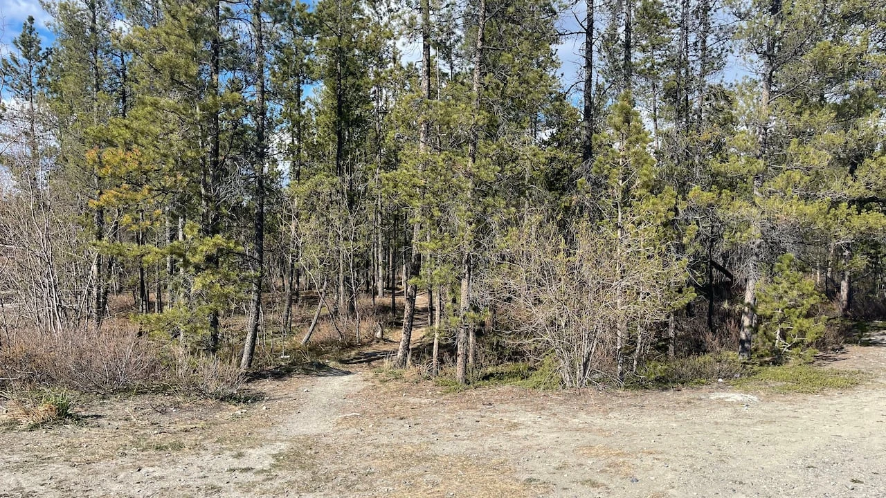 Whitehorse lot still empty, 2 years after land transfer to territorial government