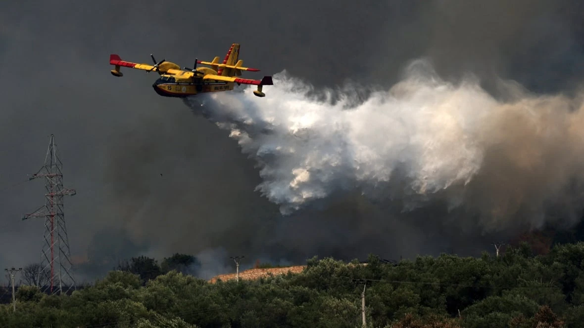 Should Canada have a national wildfire fighting agency? This MP thinks so